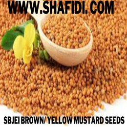 BROWN / YELLOW MUSTARD SEEDS