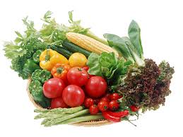 SBJEI-FRESH VEGETABLES OF BD AROUND THE YEAR
